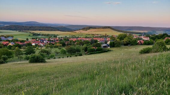 Zdjęcie z Wollomator wzdłuż trasy