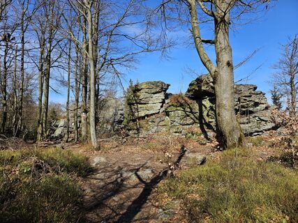 Foto från Preismarkus under resans gång