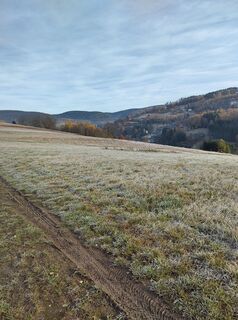 Foto de Januar Y a lo largo del recorrido