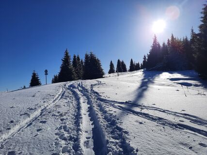 Foto von Hitch2162 entlang der Tour