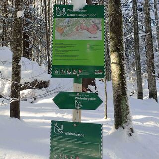 Schneeschuhtour Brünigpass-Ober Brünig-Lungern