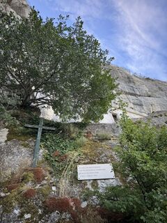 Fotografija s spletne strani Vo Sp na poti