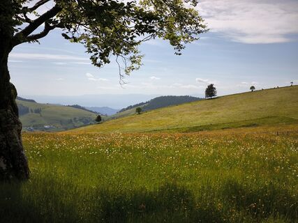 Foto von Dietmar Lüdenscheid ? entlang der Tour
