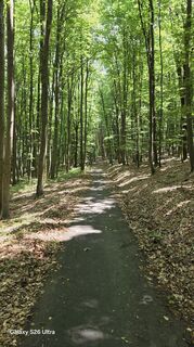 Photo de vándor sólyom le long du parcours