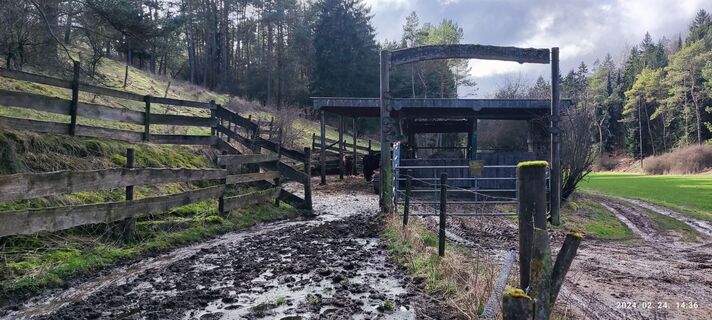 Foto von Edit Szoboszlay entlang der Tour