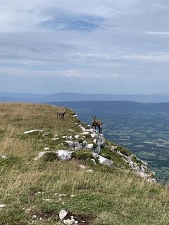 Photo de julien moreno le long du parcours