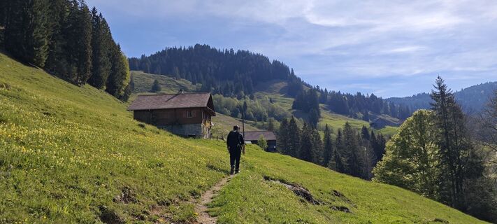 Fotografija s spletne strani deniuru na poti