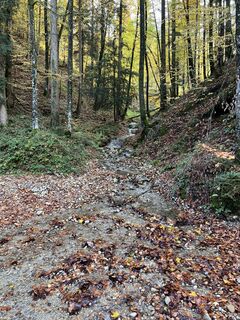 Zdjęcie z Andrea Vogt wzdłuż trasy