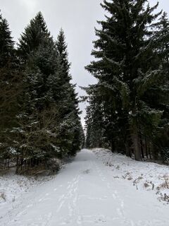 Fotografia z Arthur Muskalla na trase