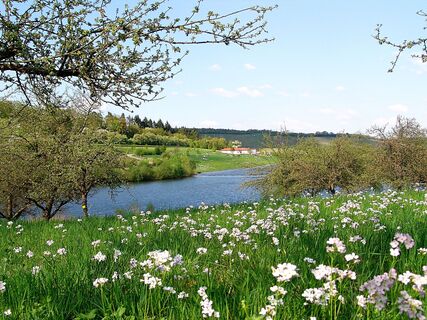 Wiese am Fluss