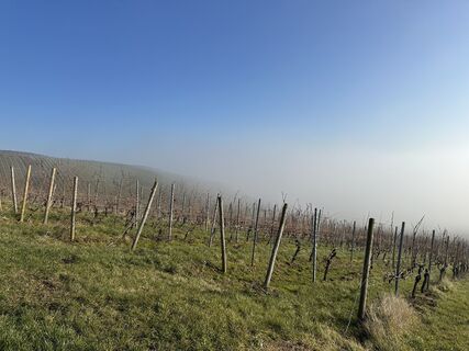 Photo de Andreas Mader le long du parcours