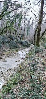 Foto von Davor  Umag City Croatia.?? entlang der Tour