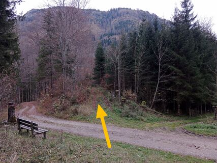 Abzweigung vom Wanderweg Nr.7