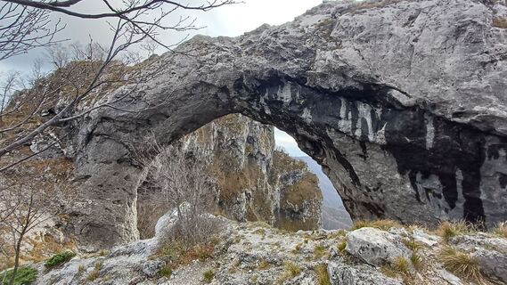 Fotografia z Snusmumrikken na trase