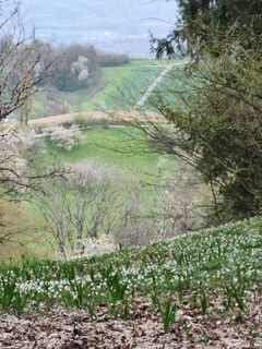 Fotografia z Sommer Joe na trase