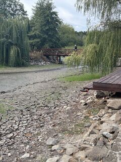 Fotografija s spletne strani Veronika Dékány na poti