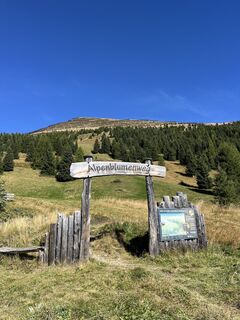 Foto von Kata entlang der Tour