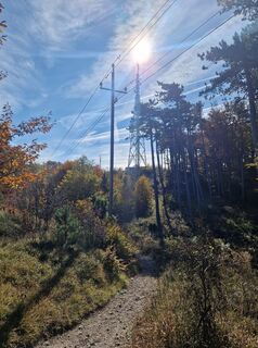 Foto från Markus Vaik under resans gång
