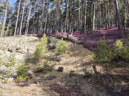Foto von Timon Bertignoll entlang der Tour