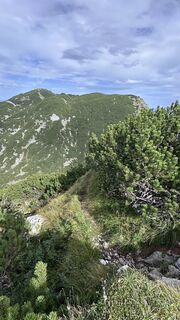 Foto von Mountain Cat ? ⛰️ entlang der Tour