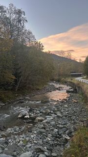 Fotografija s spletne strani Dominique Vlach na poti