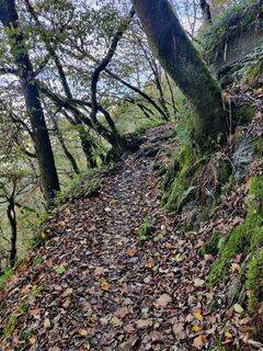 Foto de Rene De Ruyter a lo largo del recorrido