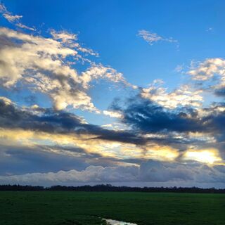Ein Blick in ostfriesische Weite