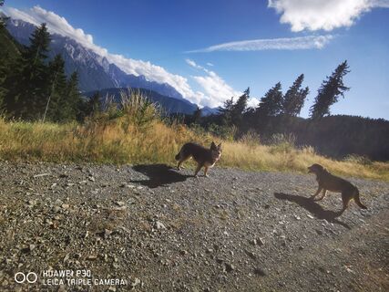 Fotografija s spletne strani Alen Telalovic na poti