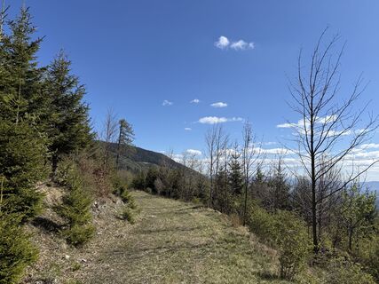 Foto von ewald ertl entlang der Tour
