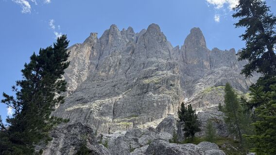 Fotografija s spletne strani Steve Bowen na poti