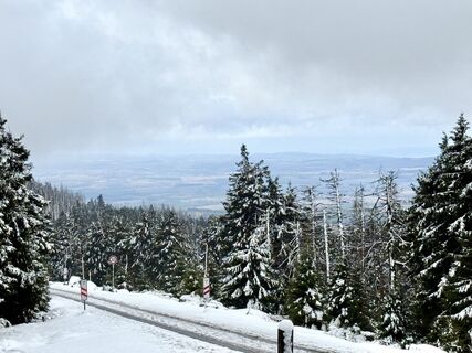 Photo de Norbert Herbig le long du parcours