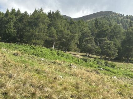Foto de Agnese Martinelli a lo largo del recorrido