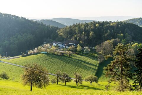 Gutenmann