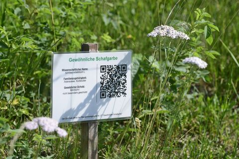 Digitale Kräuterspur Oberweißbach