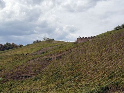 Foto von Frederic entlang der Tour