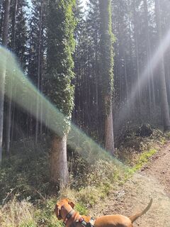 Foto von Tanja Eisenknapp entlang der Tour