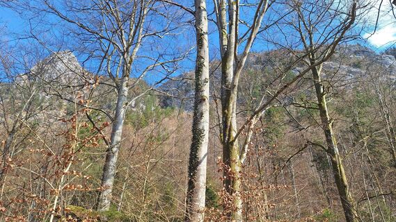 Zdjęcie z RobuC wzdłuż trasy