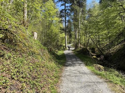 Foto von Similaun entlang der Tour