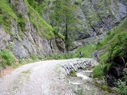 Zemljevid