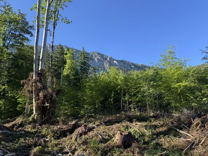 Foto von Klemens Martin entlang der Tour