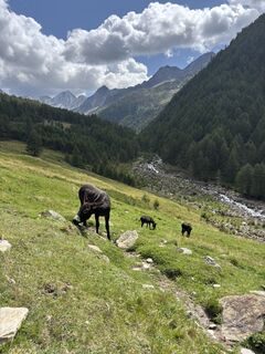 Foto de Massimiliano Cavallin a lo largo del recorrido