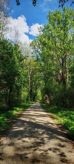 Fotografia z ReginaSt na trase