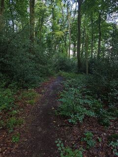 Foto von Björn Heun entlang der Tour