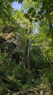 Фото с сайта Jele Hannes во время экскурсии