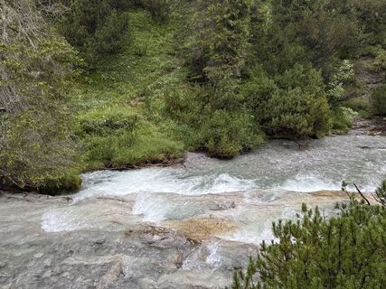 Fotografia z Grizzli na trase
