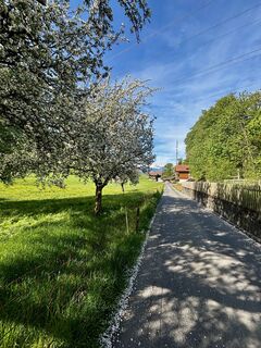 Foto von Daniel entlang der Tour
