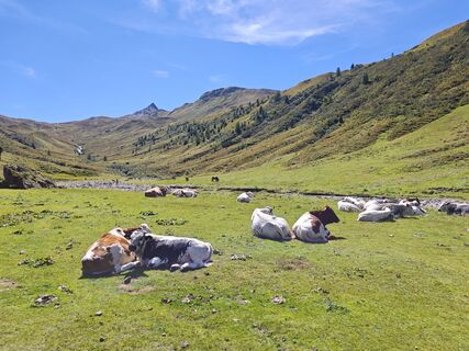 Foto von Roger Stahl entlang der Tour