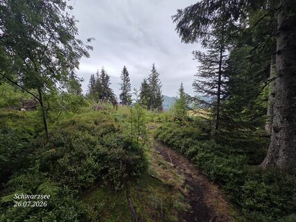 Fotografija s spletne strani Massimo Romano 2 na poti