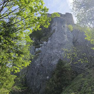 Fotografie z Sonja Enzenhofer na trase