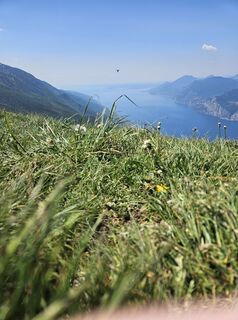 Foto von Moscho entlang der Tour